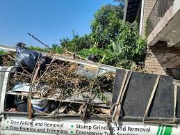 Best Basement Cleanout  in Russell, GA
